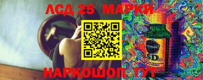 спиды Славгород
