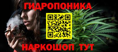 дурь Сланцы